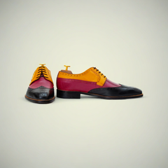 The Alaric | Colorblock Shoe